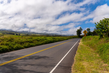 A winding road stretches into the distance under a cloudy sky, promising adventure.