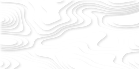Abstract Luxury diamond creative topography map background vector natural shadow papercut web topography map spiral line. white light dynamic smooth cover origami papercut texture background.	
