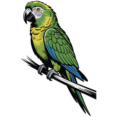 parrot on a branch