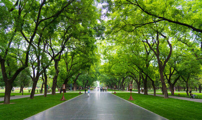 Temple of Heaven, Beijing