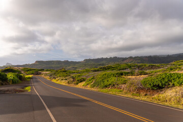 Fototapeta premium A winding road cuts through a lush, green landscape under a cloudy sky.