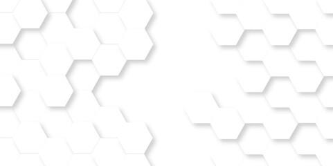 Abstract minimal Background with white lines Hexagonal structure futuristic white background and Embossed Hexagon , honeycomb white mosaic cell web ,light and shadow texture design.	
