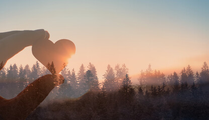 Hand holding heart on beautiful forrest sunset background. kindness love nature concept	