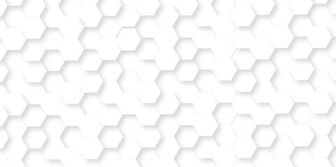 Abstract minimal Background with white lines Hexagonal structure futuristic white background and Embossed Hexagon , honeycomb white mosaic cell web ,light and shadow texture design.	
