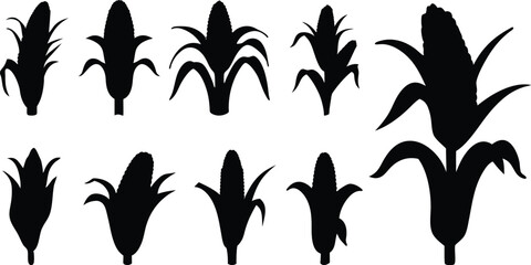 Corn silhouettes vector.
