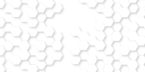 Abstract minimal Background with white lines Hexagonal structure futuristic white background and Embossed Hexagon , honeycomb white mosaic cell web ,light and shadow texture design.	

