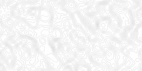 Vector geographic contour map. Topography map background. Black, white wave Seamless line. Topography relief. White wave paper curved reliefs abstract. Topographic map patterns, topography line map.	