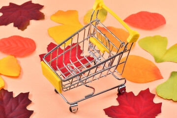 秋の特売のイメージ