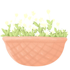 White flowers in pot planting png