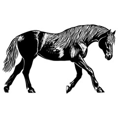Horse wood block print animal art illustration vector