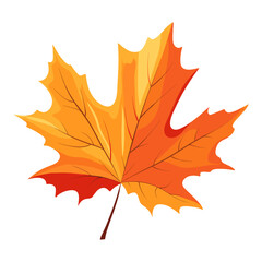 Obraz premium Autumn dried maple leaf illustration fall seasonal vector