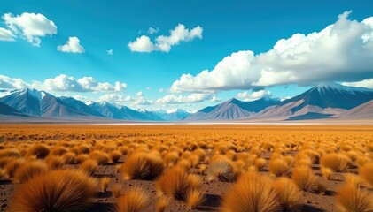 Vast, lonely New Zealand plains under stark sky, photo, NZ, horizon