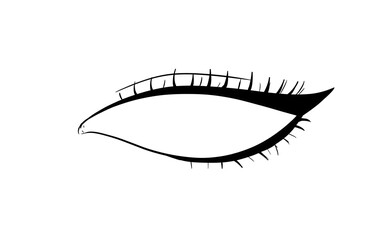 eyelash digital drawing isolated black and white