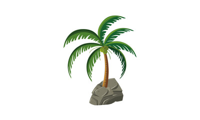 palm tree isolated on white