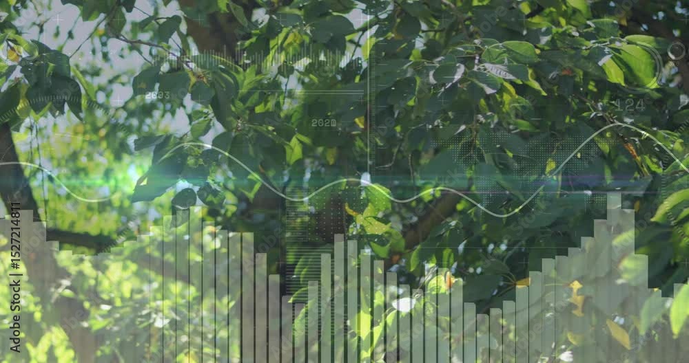 Poster opening on sunlit leaves, bars fading in and fluctuating as waveform sweeps showing numeric labels