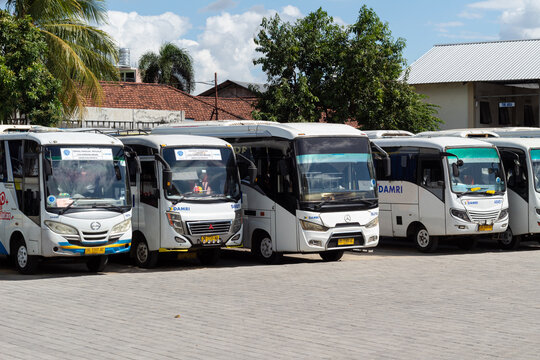 Damri Tour Buses Lined Up at a Bus Station in Mataram, Lombok, Indonesia - August 24 2024
