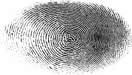 Close-up image of a fingerprint pattern, highlighting unique lines and swirls for identification and study.