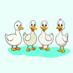 A set of four cute duck