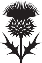 Thistle Flower Black Silhouette Vector, Botanical Clipart & Wild Floral Design