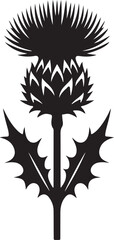Thistle Flower Black Silhouette Vector, Botanical Clipart & Wild Floral Design