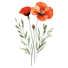 Hibiscus and Poppy clip art flowers poppy illustration vector