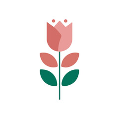 pink rose flower