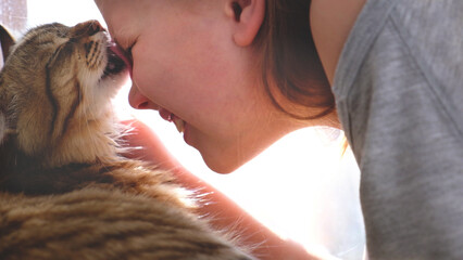 Portrait of cute laughing girl  alongside funny kitten, face to face, close up. Tabby cat licking her face. Domestic lovely cat and child. Happy day moments. Love, care, talking with friends, Humor