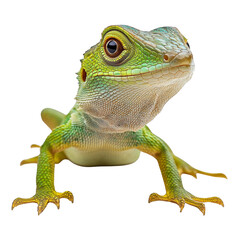 Fototapeta premium A close-up of a vibrant green lizard with intricate scales and expressive eyes, showcasing its unique features and colors. Png, Transparent background.