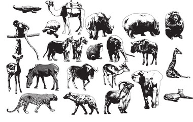 Fototapeta premium Black and White Animals Silhouette Vector Collection on White Background.