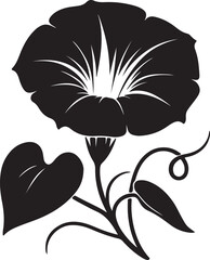 Morning Glory Flower Black Silhouette Vector, Elegant Botanical Clipart & Floral Design