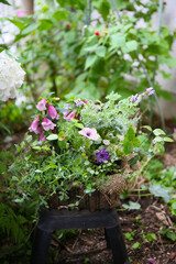 creating a small potted garden in a japanese style 