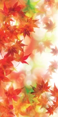 Gordijnen 紅葉　もみじ　秋　背景  © J BOY