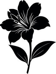 Elegant Black and White Lily Flower Silhouette with Stem and Leaves