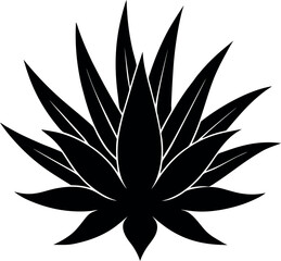 Black and White Agave Plant Silhouette with Sharp Leaves Pattern