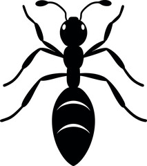 Simple Black Silhouette of an Ant on a White Background