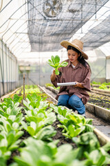 Agricultural student woman holding fresh lettuce with root in organic greenhouse farm inspecting lettuce roots in indoor garden, Sustainable vegetable farming by agricultural students in greenhouse.