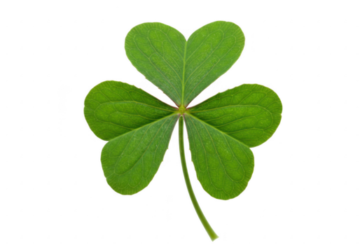 Green shamrock with three leaves isolated on transparent background