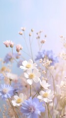 white flowers in spring, floral background