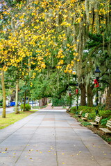 Forsyth Park