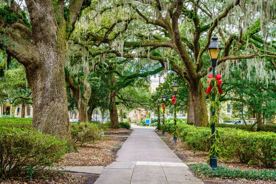 Forsyth Park - Powered by Adobe