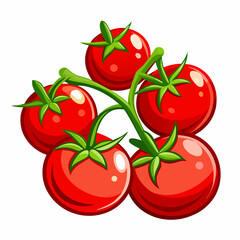 tomatoes on a white background