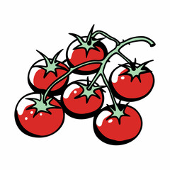 cherry tomatoes vector illustration