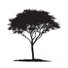 Blank Background Alder Tree Illustration