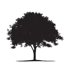 Fototapeta premium Blank Space with Silhouetted Alder Tree