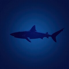 Obraz premium Silhouette of a shark in deep ocean water.