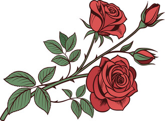 Realistic High-Resolution Rose Illustration – Detailed Sharp Floral Art for Rose Day