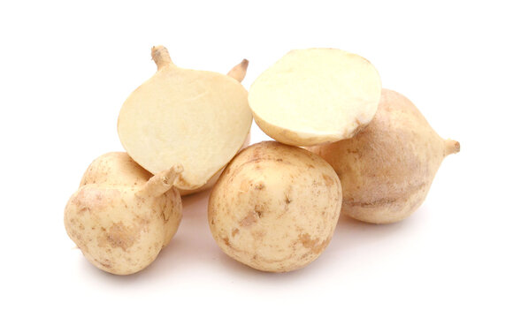 Cassava, Yam bean, Pachyrhizus erosus L. Urbar, Jicama on whit. Urbar, Jicama isolated on white background.