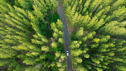 Aerial view of dark green forest road and white electric car Natural landscape and elevated roads Adventure travel and transportation and environmental protection concept	