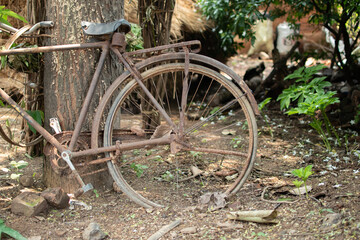 An old, rusted bicycle leans against a tree, overtaken by time and nature. Set in a quiet village scene, it tells silent stories of journeys once taken and memories long past.