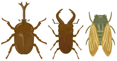夏の虫イラストセット ベクター素材